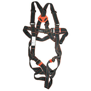 Pioneer 2-Point Harness